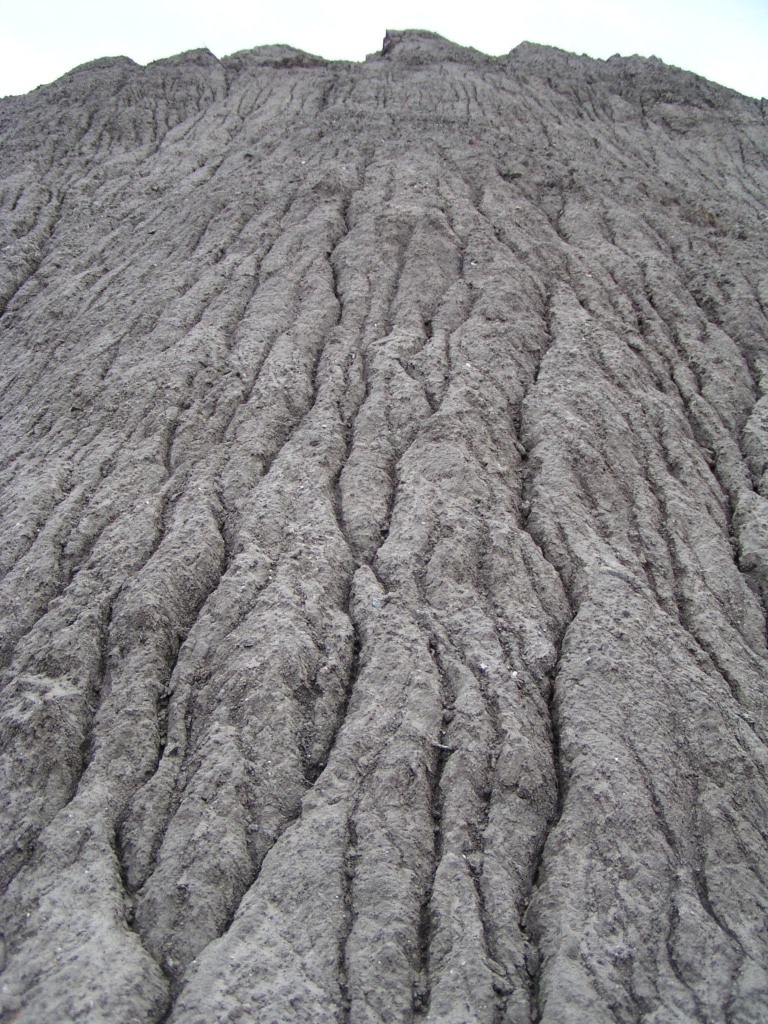 p2007120839.jpg - Sfeerplaatje van relief in de zandlichamen door overvloedig hemelwater.