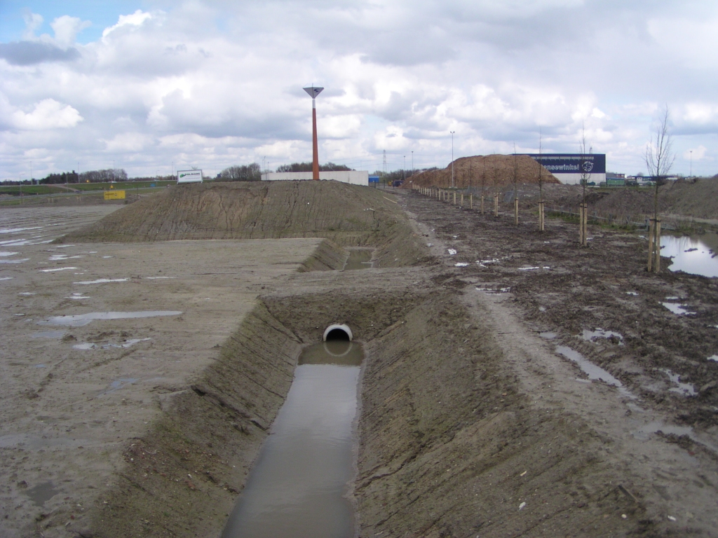 p4060055.jpg - Ook zijn er een aantal boompjes geplant, maar niet in die aantallen dat men kan spreken van het compenseren van de grootschalige kaalslag die er aan weerszijden van de randweg heeft plaatsgevonden.