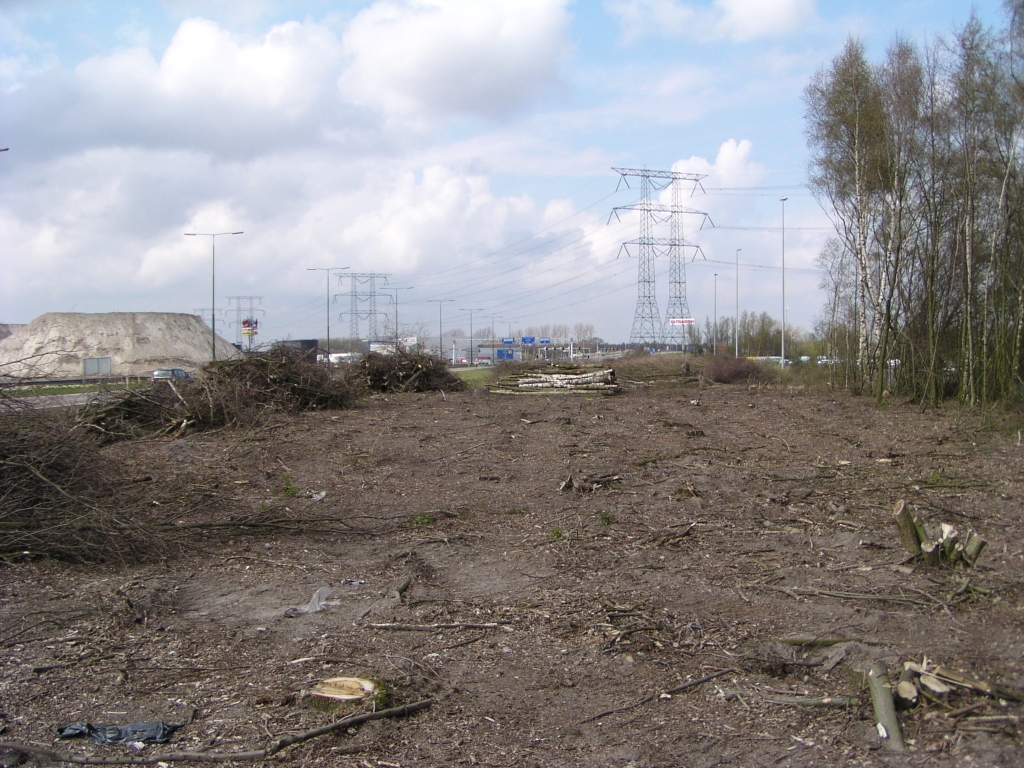 p4130028.jpg - Omvangrijker kapwerk, ook ten oosten van de bestaande A50 iets ten noorden van de VRI met de A58. Een oppervlakkige blik op de tracekaart wekt de indruk dat er geen extra ruimtebeslag oostwaarts zou zijn, maar we moeten niet vergeten dat de verlengde Kennedylaan hier moet gaan stijgen om in te voegen op de eveneens verhoogd liggende A50, om de verbindingsweg tussen Ekkersrijt west en oost te overbruggen. De taluds zullen die extra ruimte opeisen.