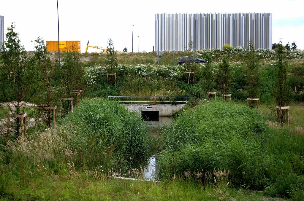 20090620-173547.bmp - Aan Eindhovense zijde is al wel begonnen met het aankleden van het niemandsland tussen de parallelrijbaan en de afrit Veldhoven-Zuid. Niet alleen beplanting op het talud, maar ook de Gender heeft bomenrijen gekregen op zijn oevers.