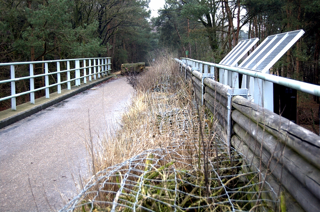 20100207-162046.bmp - Mogelijk heeft het ooit gediend als ontsluiting van de landbouwbedrijven die zich bevonden op "de Grote Heide", een gebied in de oksel van de A67 en de A2 ten zuidoosten van kp. Leenderheide. De landbouwbedrijven zijn alle geamoveerd en het gebied teruggegeven aan de natuur. Misschien dat fietsers ooit gehoopt hebben op een rechtlijnige verbinding tussen Eindhoven-oost en Leende. Dat is nu definitief verkeken met de inrichting van het viaduct als half ecoduct.