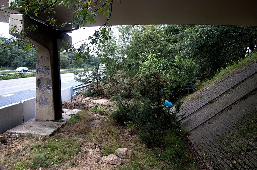 20110913-122004.jpg - Aan de andere kant van de viaductsteun had het niet gepast zonder grondkerende maatregelen in het taludje rechts.