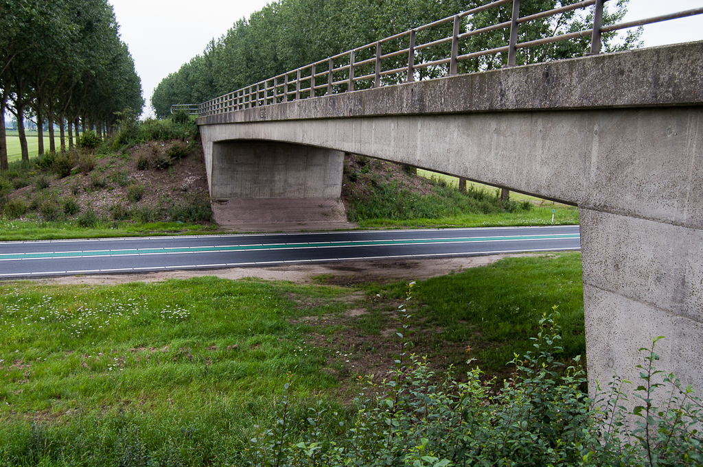 20110803-115359.jpg - Fraai middensteun-loos ontwerp van het viaduct Betenlaan. Er zijn geen gewichtsbeperkingen voor verkeer dat er overheen rijdt.