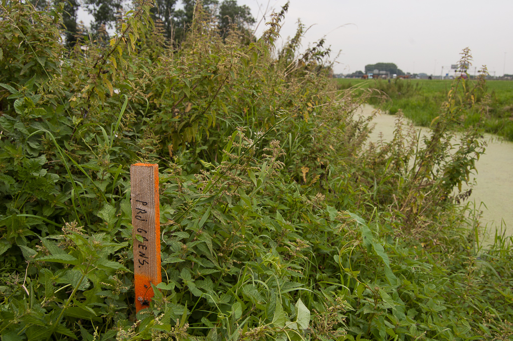 20110803-121732.jpg - Piketpaaltje in de noordwest-hoek van het knooppunt Ewijk, waar het ruimtebeslag enigzins toeneemt door de aanleg van de turbineboog Arnhem-Nijmegen.