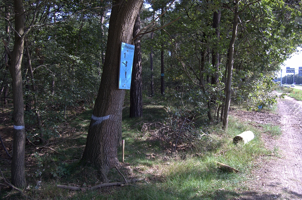 20100905-124006.bmp - Overal witte markeringen op bomen. Het trimparcours zal dus ook plaatselijk verlegd moeten worden.