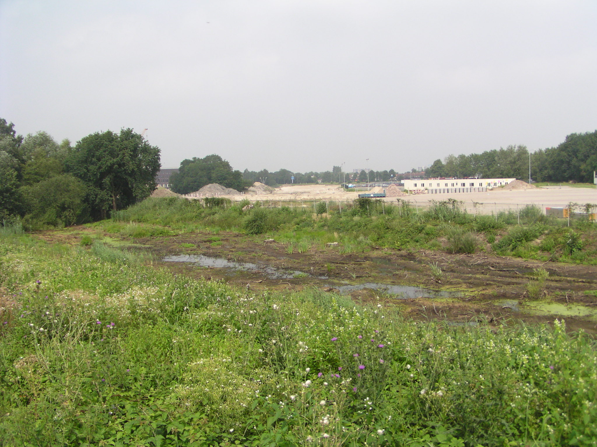 p7300024.jpg - Vanaf het dijklichaam waar ooit een spoorlijn op lag, die van 's Hertogenbosch naar Lage Zwaluwe, moet het verder gaan met de Gementweg, ingeperst tussen het terrein van het PWA ziekenhuis (links) en een parkeerplaats waar men de bus kan nemen naar het centrum.