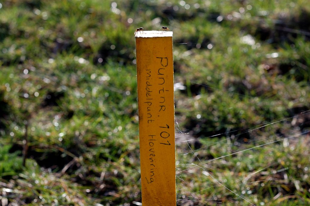 20110320-153408.JPG - Daaronder het piketpaaltje dat het spectaculairste punt markeert: hier moet een 70 meter hoge pyloon komen waaraan een fietsrotonde komt te hangen aan 24 tuien, boven het te realiseren kruispunt.Zie  hier  voor meer informatie.