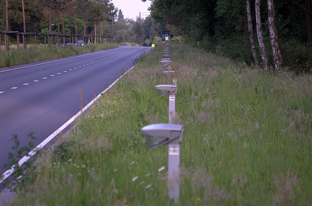 20100605-203238.bmp - Uitlijning lichtmastjes nog niet optimaal, maar als de maaimachine nog even binnen blijft stoort dat niet meer.